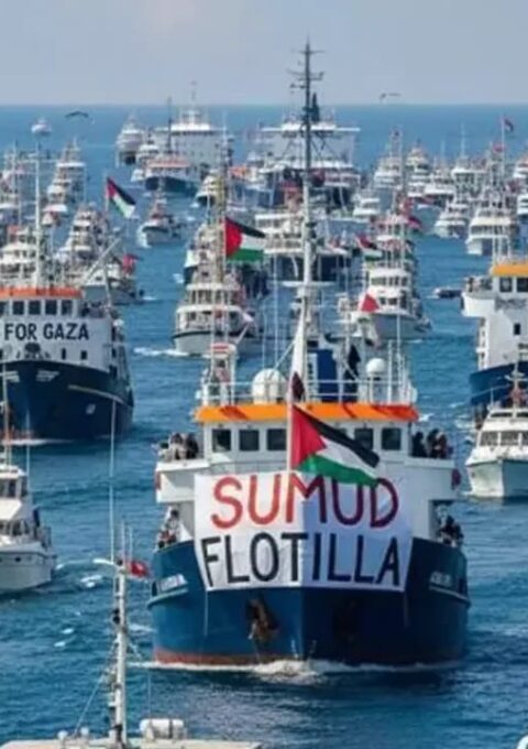 WhatsApp Image 2025-09-29 at 00.34.11