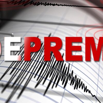 resized_a551608829274062cd7fcab8646390d2qk41N55zMJPHtmK2-4