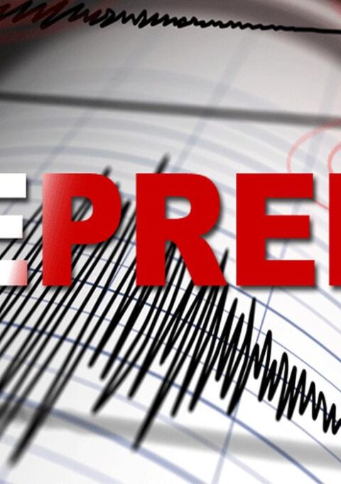 resized_a551608829274062cd7fcab8646390d2qk41N55zMJPHtmK2-4